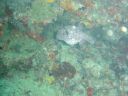 Dateiname=DSC00141.JPG
Dateigröße=532KB
Abmessungen: 1024x768
hinzugefügt am: 05. August 2014 DSC00141.JPG