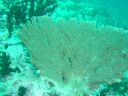 Dateiname=DSC00144.JPG
Dateigröße=528KB
Abmessungen: 1024x768
hinzugefügt am: 05. August 2014 DSC00144.JPG