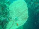 Dateiname=DSC00147.JPG
Dateigröße=490KB
Abmessungen: 1024x768
hinzugefügt am: 05. August 2014 DSC00147.JPG