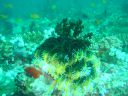 Dateiname=DSC00148.JPG
Dateigröße=480KB
Abmessungen: 1024x768
hinzugefügt am: 05. August 2014 DSC00148.JPG