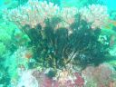 Dateiname=DSC00149.JPG
Dateigröße=550KB
Abmessungen: 1024x768
hinzugefügt am: 05. August 2014 DSC00149.JPG