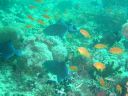 Dateiname=DSC00150.JPG
Dateigröße=476KB
Abmessungen: 1024x768
hinzugefügt am: 05. August 2014 DSC00150.JPG