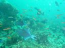 Dateiname=DSC00151.JPG
Dateigröße=435KB
Abmessungen: 1024x768
hinzugefügt am: 05. August 2014 DSC00151.JPG