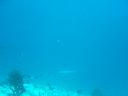 Dateiname=DSC00155.JPG
Dateigröße=239KB
Abmessungen: 1024x768
hinzugefügt am: 05. August 2014 DSC00155.JPG