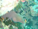 Dateiname=DSC00164.JPG
Dateigröße=479KB
Abmessungen: 1024x768
hinzugefügt am: 05. August 2014 DSC00164.JPG