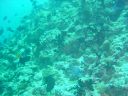 Dateiname=DSC00170.JPG
Dateigröße=490KB
Abmessungen: 1024x768
hinzugefügt am: 05. August 2014 DSC00170.JPG