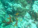 DSC00172.JPG
