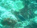 DSC00173.JPG
