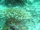 DSC00174.JPG