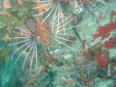 DSC00175.JPG
