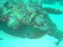DSC00180.JPG
