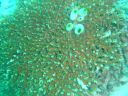 DSC00182.JPG