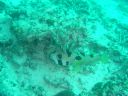 DSC00184.JPG