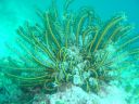 DSC00185.JPG
