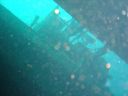 DSC00213.JPG