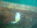 DSC00234.JPG