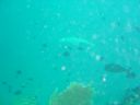 DSC00257.JPG