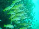 DSC00264.JPG