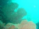 DSC00265.JPG