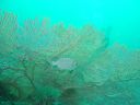 DSC00266.JPG
