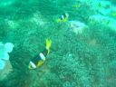 DSC00267.JPG