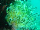 DSC00273.JPG