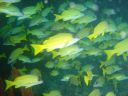 DSC00276.JPG