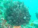 DSC00277.JPG