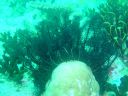 DSC00278.JPG