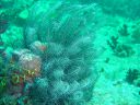 DSC00280.JPG