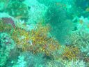 DSC00281.JPG