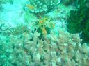 DSC00282.JPG