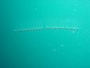 DSC00283.JPG