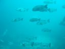 DSC00284.JPG