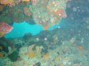 DSC00287.JPG