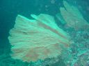 DSC00290.JPG