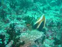 DSC00292.JPG