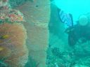 DSC00293.JPG
