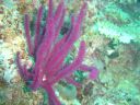 DSC00296.JPG