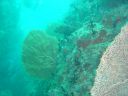 DSC00297.JPG