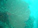 DSC00298.JPG