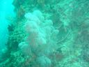 DSC00299.JPG