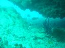 DSC00302.JPG