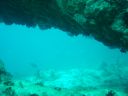 DSC00303.JPG