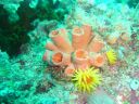 DSC00305.JPG