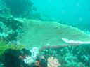 DSC00307.JPG