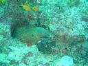 DSC00308.JPG