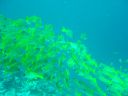 DSC00311.JPG
