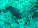DSC00312.JPG