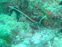 DSC00313.JPG